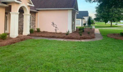 Property Cleanups