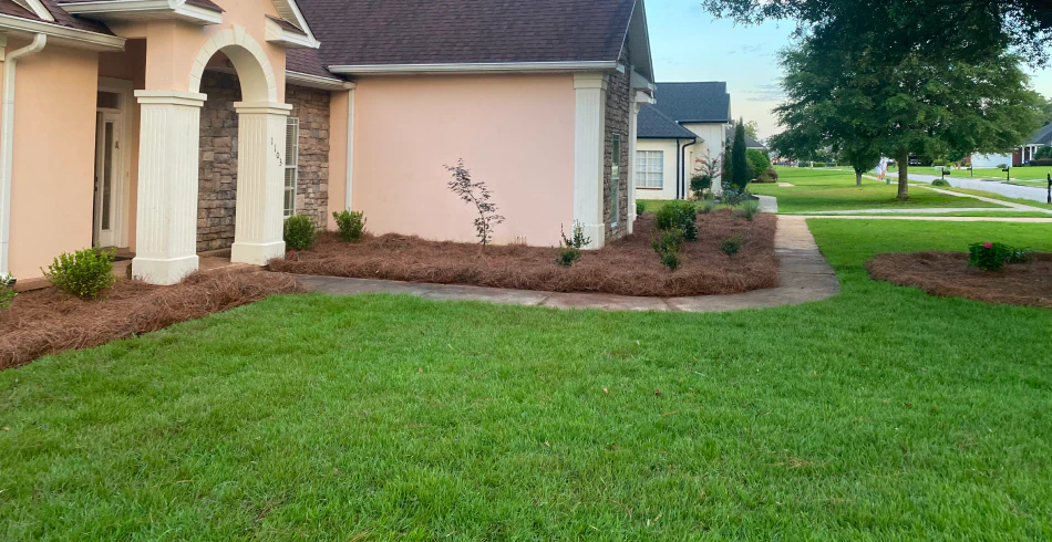 Property Cleanups Property Cleanups